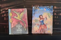 To fantasybøger