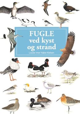 Louise Imer Nabe-Nielsen: Fugle ved kyst og strand